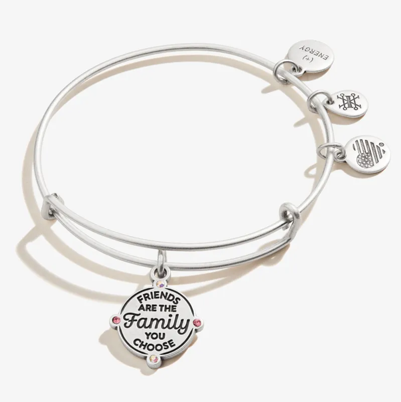 'Friends are the Family You Choose' Charm Bangle sold by Alex and Ani