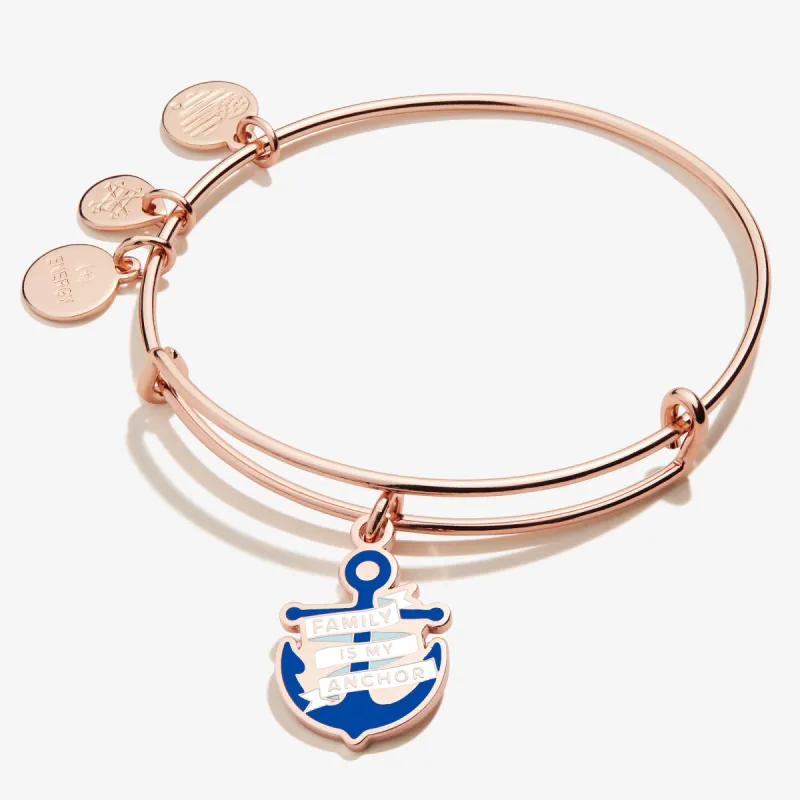 'Family is My Anchor' Charm Bangle sold by Alex and Ani