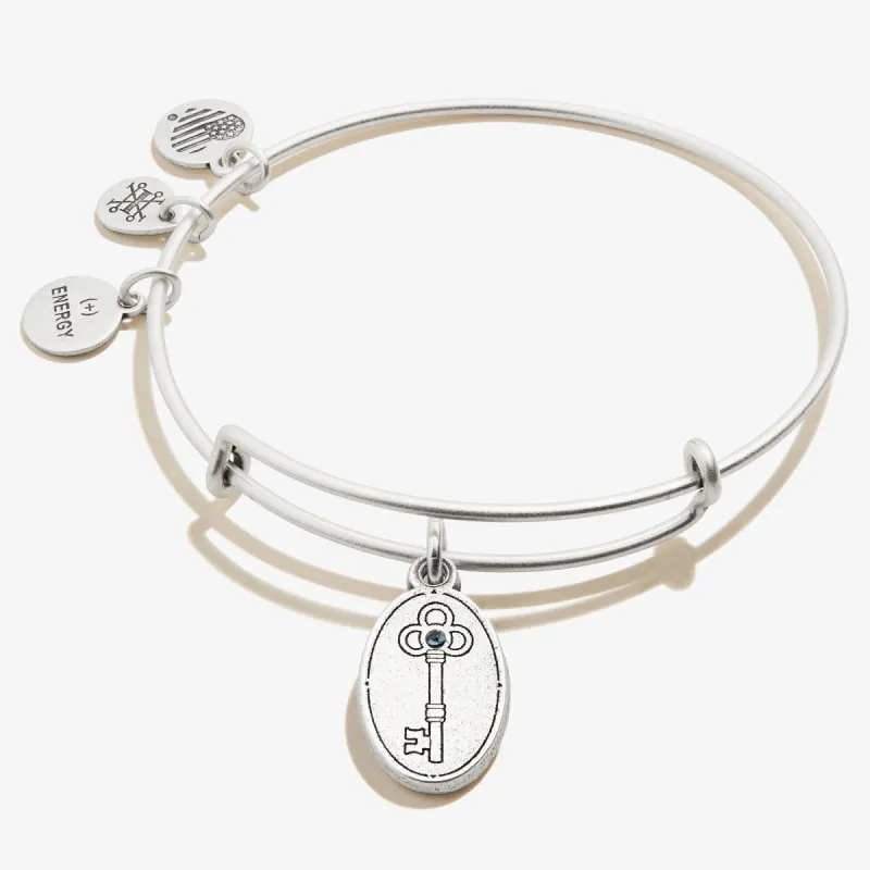 Key to Wisdom Charm Bangle sold by Alex and Ani