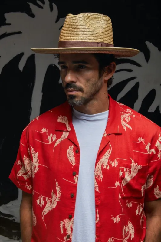 Reno Straw Hat - Tan sold by Brixton