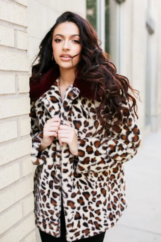 BuddyLove Mariah Waist Length Faux Fur Coat - Leopard sold by Buddy Love