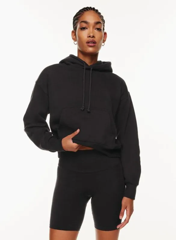 cozy fleece boyfriend boxy hoodie sold by Aritzia