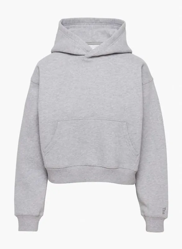 cozy fleece boyfriend shrunken hoodie sold by Aritzia