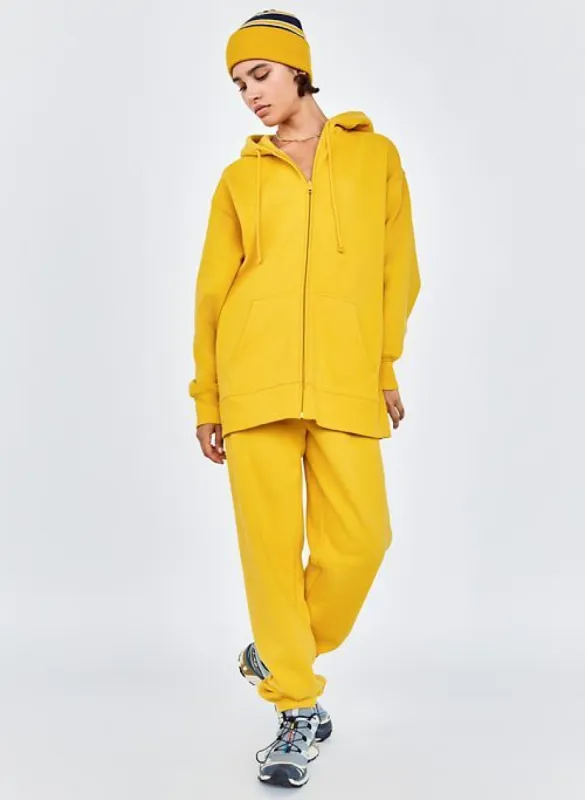cozy fleece boyfriend zip-up hoodie sold by Aritzia