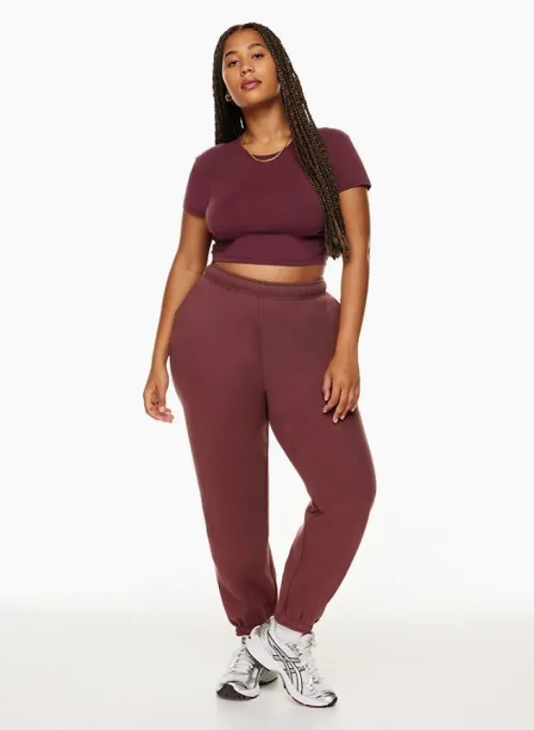 cozy fleece mega sweatpant sold by Aritzia