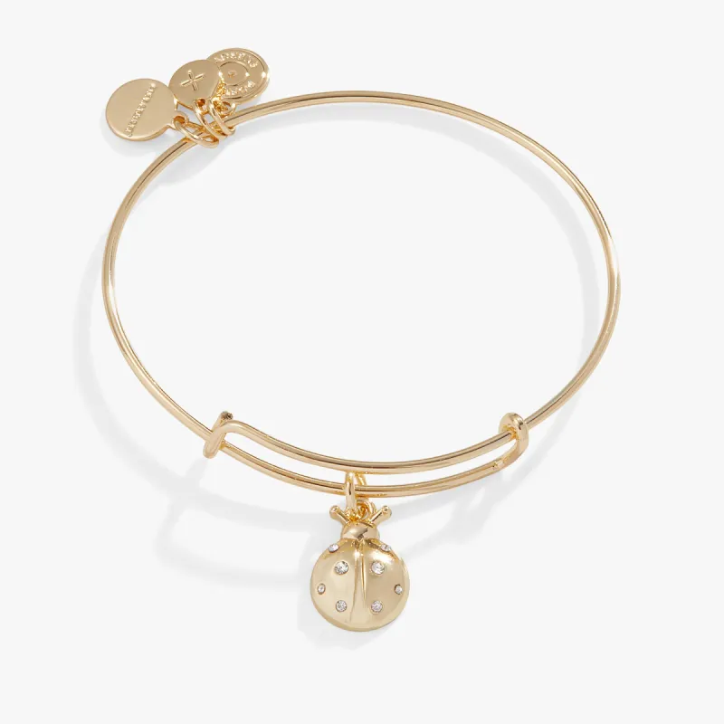 Ladybug Charm Bangle Bracelet sold by Alex and Ani