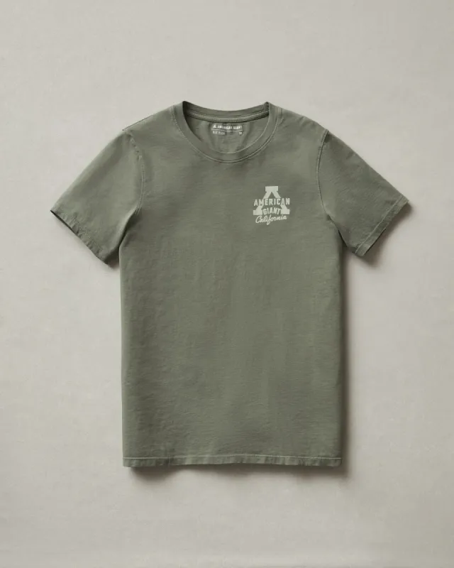 Women's Classic Cotton Graphic Tee - Mulled Basil sold by American Giant