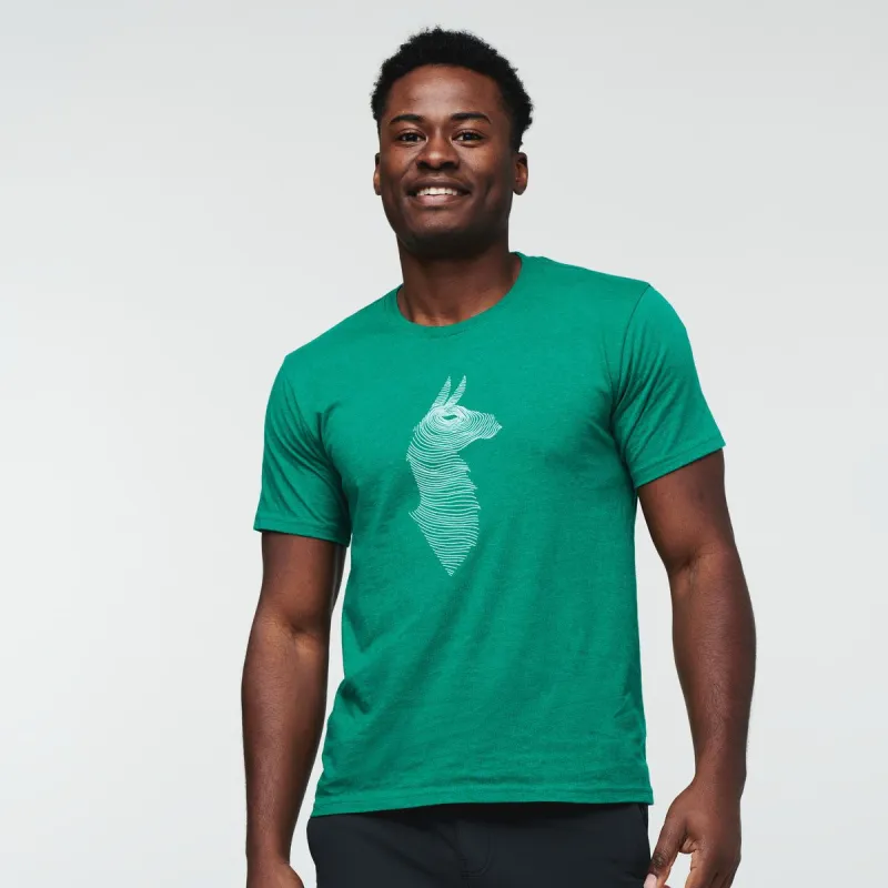 Topo Llama T-Shirt - Men's sold by cotopaxi