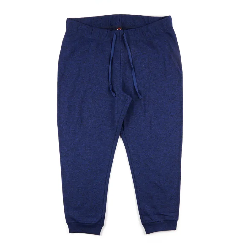 Women's Plus Fleece Joggers with Comfort Waistband sold by Giant Tiger