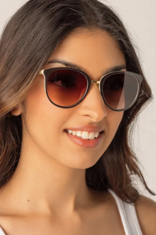 2-Tone Pantos Sunglasses with Glittery Metal Trim sold by Eclipse