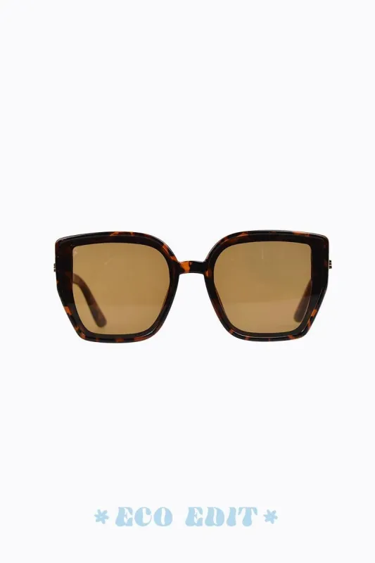 Natalie - Tortoiseshell sold by PETA AND JAIN