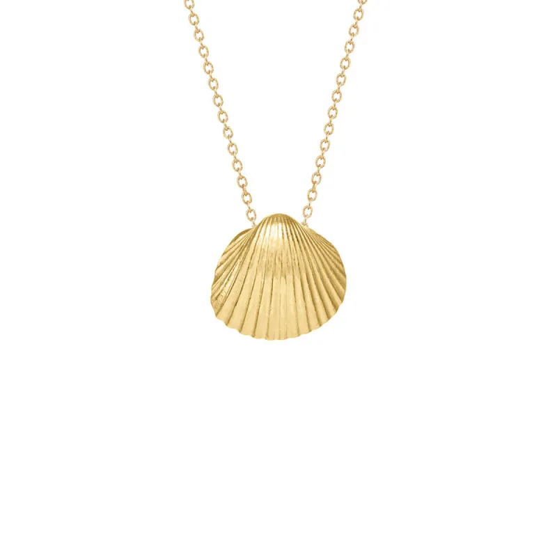 Small Sun Shell Necklace sold by Catherine Weitzman Jewelry
