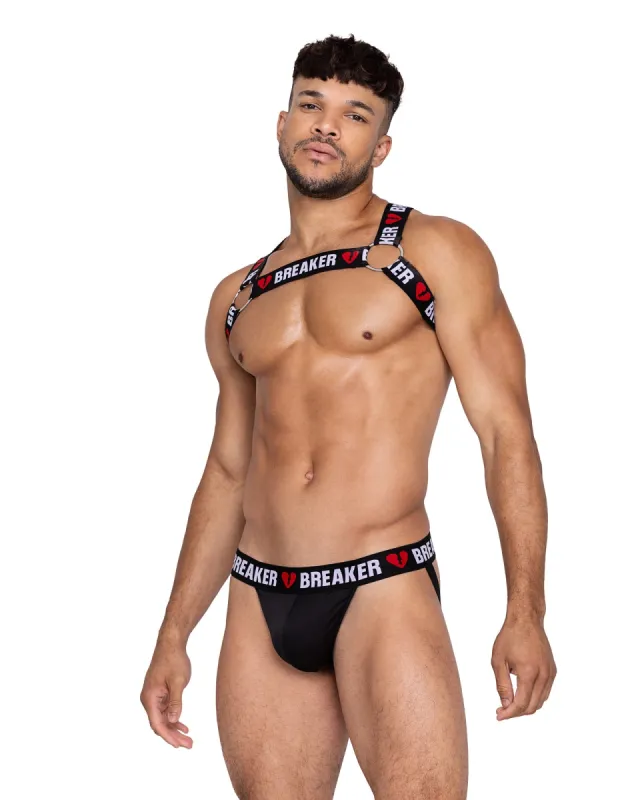 Heartbreaker Harness sold by Shoe Freaks