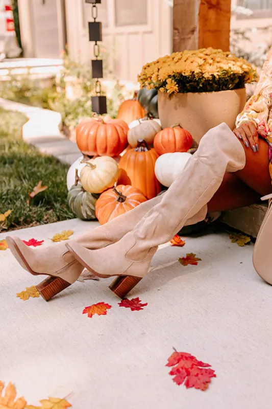 The Juliet Faux Suede Thigh High Boot in Oatmeal sold by Impressions