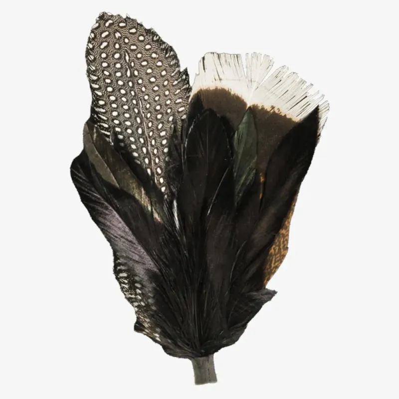 Genesis | Black Hat Feather sold by American Hat Makers