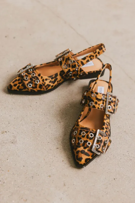 Steve Madden Graya Flats in Leopard sold by bohme