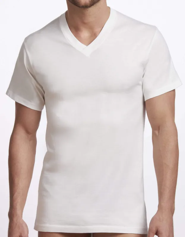 Men's Premium V-Neck T-Shirt - 2 Pack sold by Stanfields