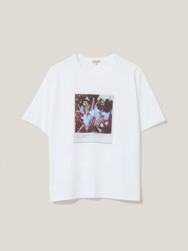Blue Daffodils T-shirt | White sold by Jigsaw