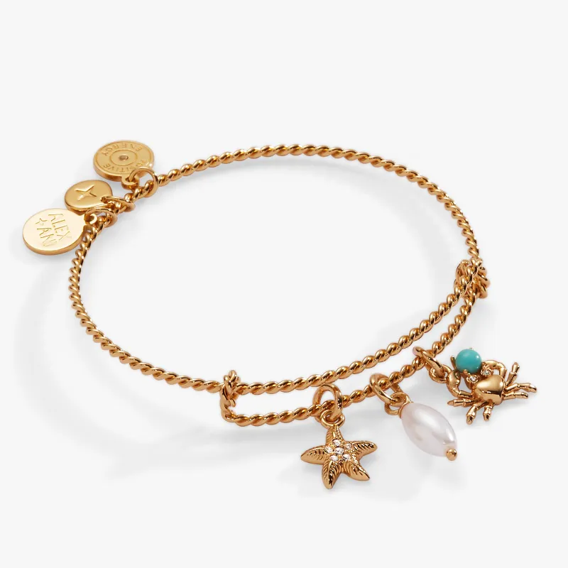 Seaside Charm Bangle sold by Alex and Ani