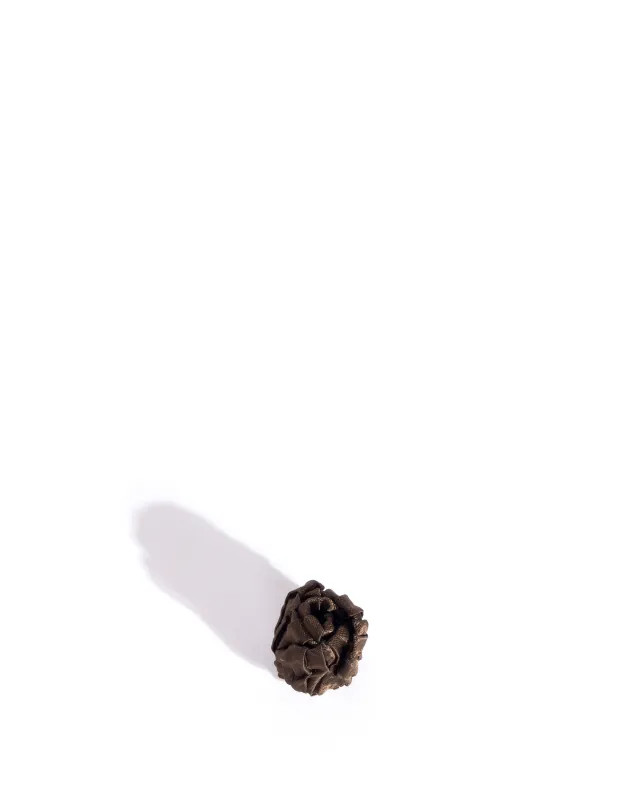 Tulip shoe clip Pleated satin Espresso brown sold by Anonymous Copenhagen