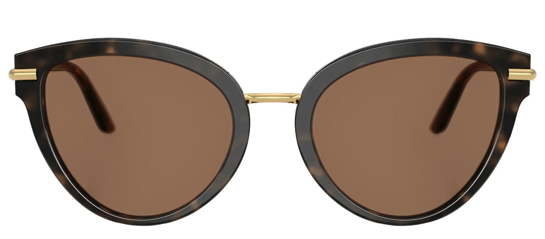 DOLCE & GABBANA DG 4492 321713 Butterfly Havana On White Barrow Acetate Sunglasses with Dark Brown Lens sold by Gaffos